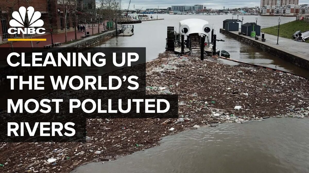 The Best Guide on How to Clean up the Most Polluted Rivers