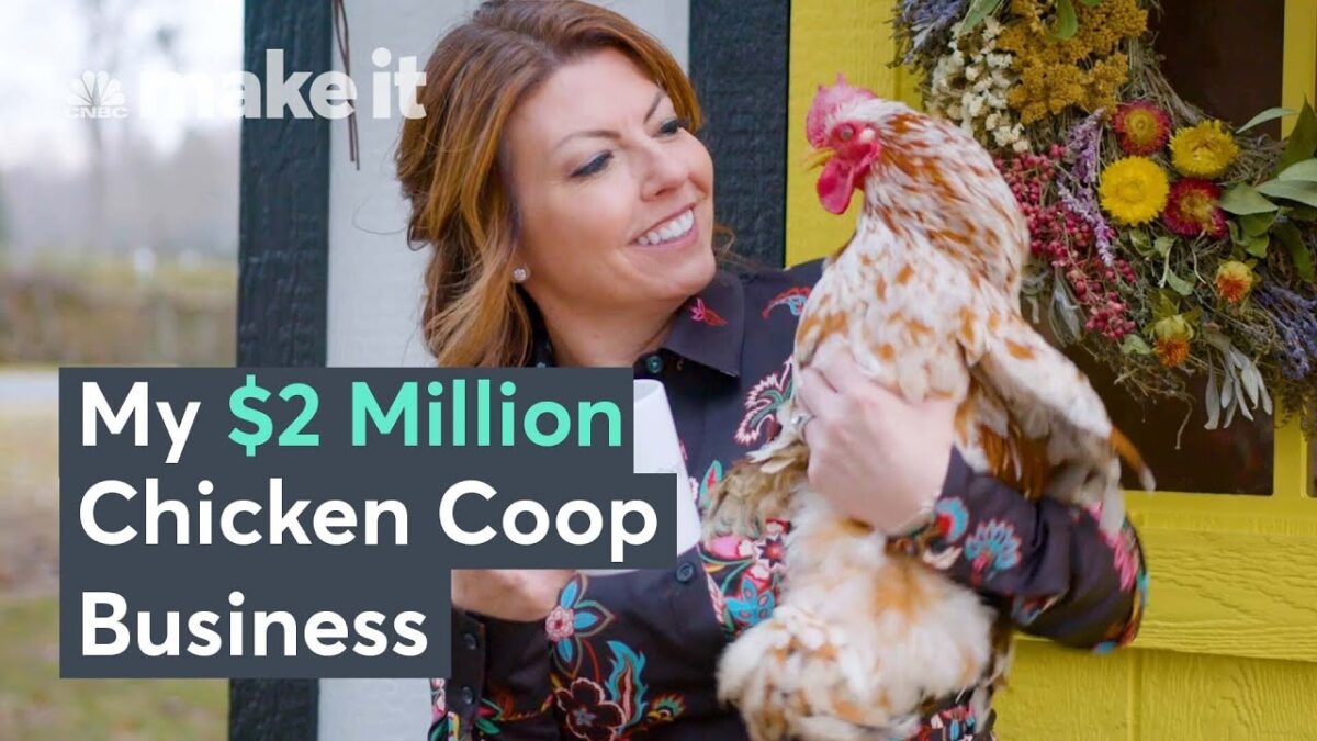 The Success Story of Chicken Coop Startup worth 2M
