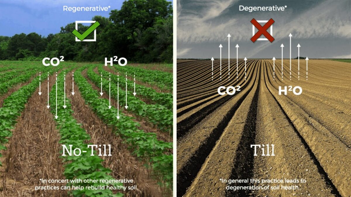 The Impact Of Regenerative Agriculture On Soil Quality