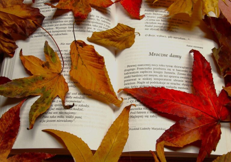 red leaves, book, text